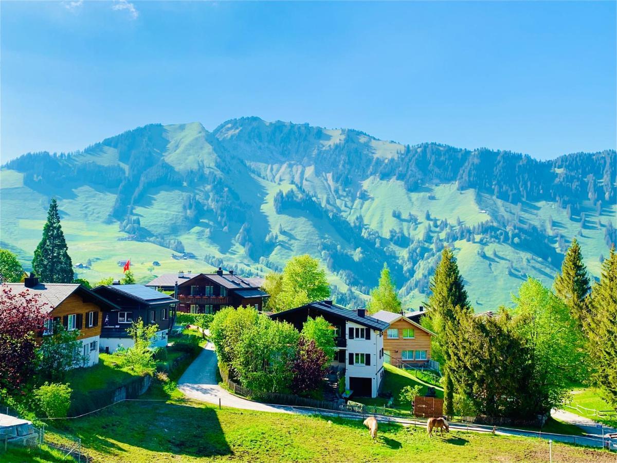 The Swiss Paradise 1 Penthouse Apartment Wirzweli Bagian luar foto
