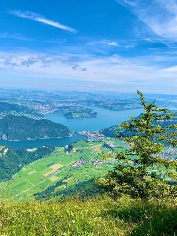 The Swiss Paradise 1 Penthouse Apartment Wirzweli Bagian luar foto